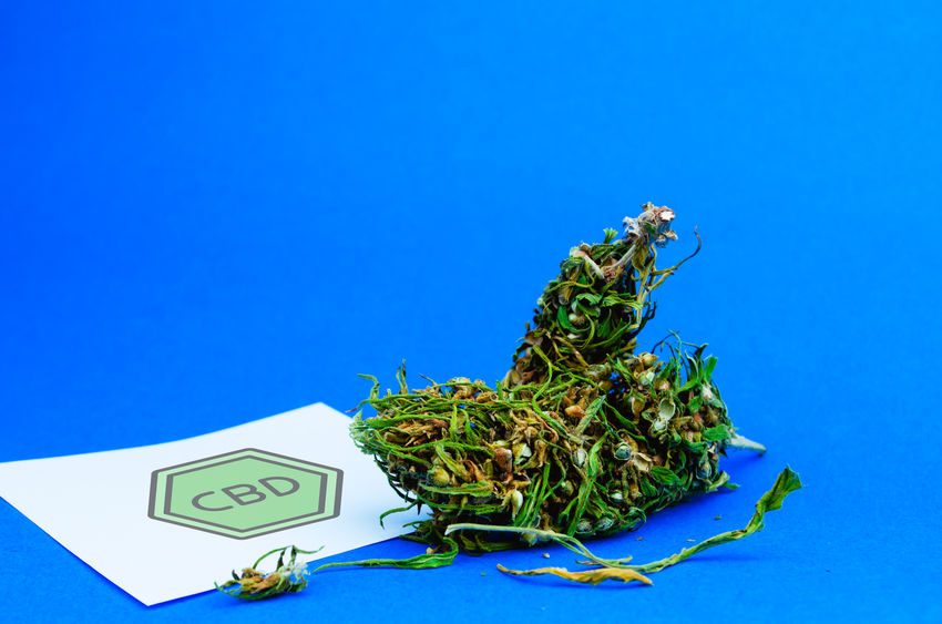 Quel produit CBD choisir selon votre profil ?